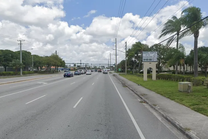 Animal Hospital of the Palm Beaches