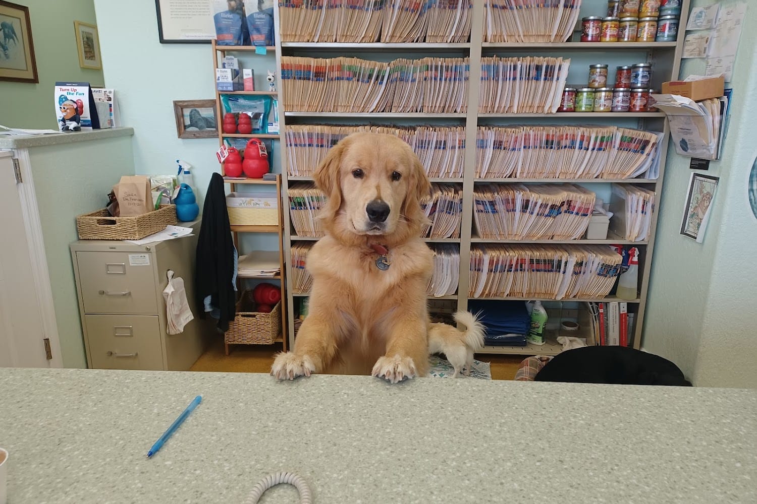 Care Animal Hospital of Seminole
