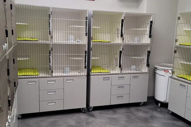 Atlantic Animal Shelter