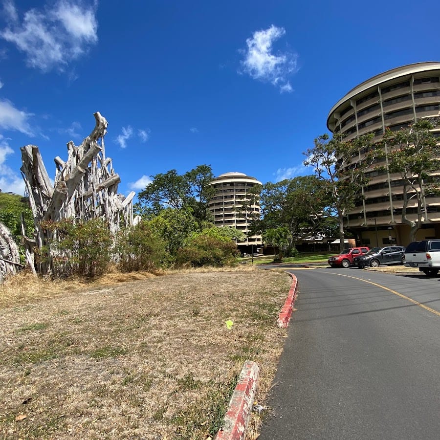 University of Hawaii at Manoa