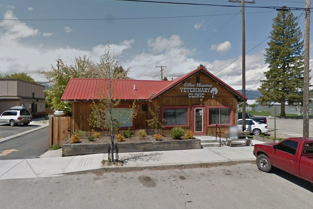 Willow Mountain Veterinary Hospital
