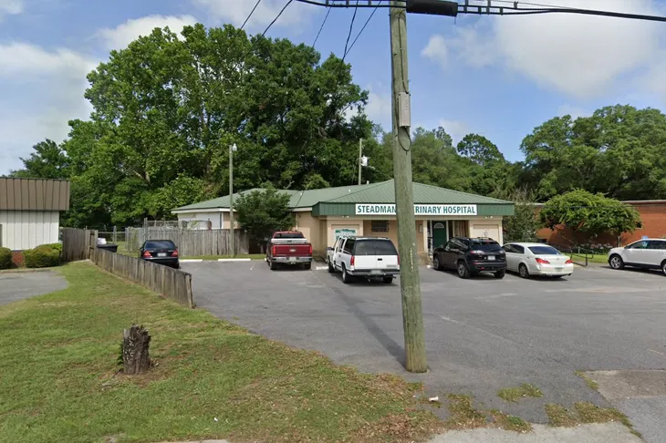 Steadman Veterinary Hospital