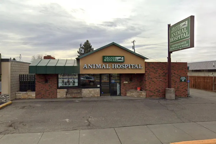 Grand Avenue Animal Hospital