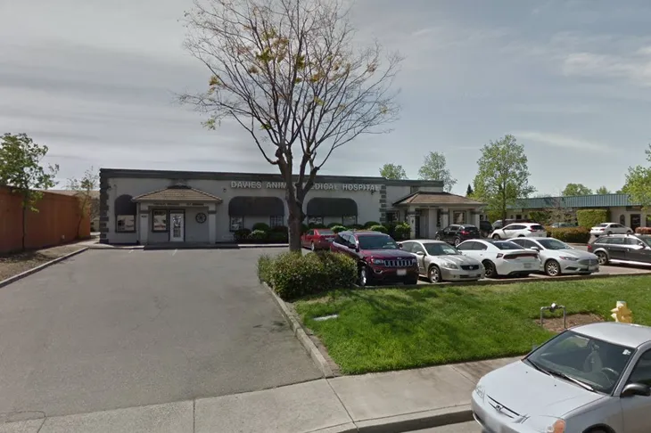 Davies Animal Medical Hospital