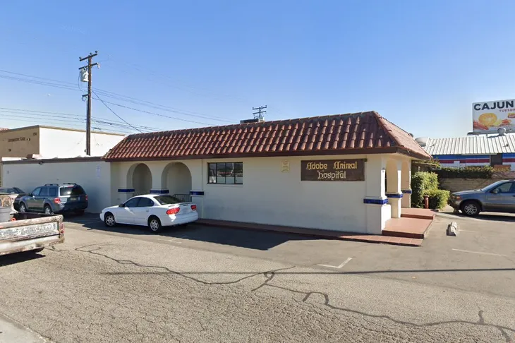 Adobe Animal Hospital