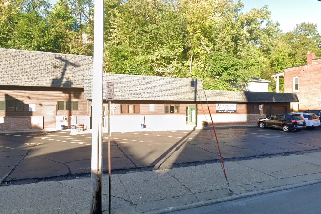 Central Animal Hospital