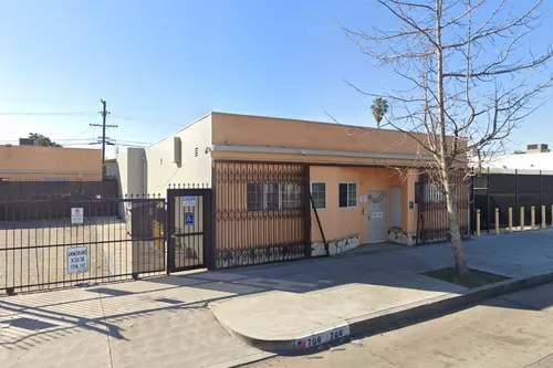 Wisdom Academy For Young Scientists