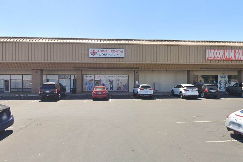 Animal Hospital & Bird Clinic