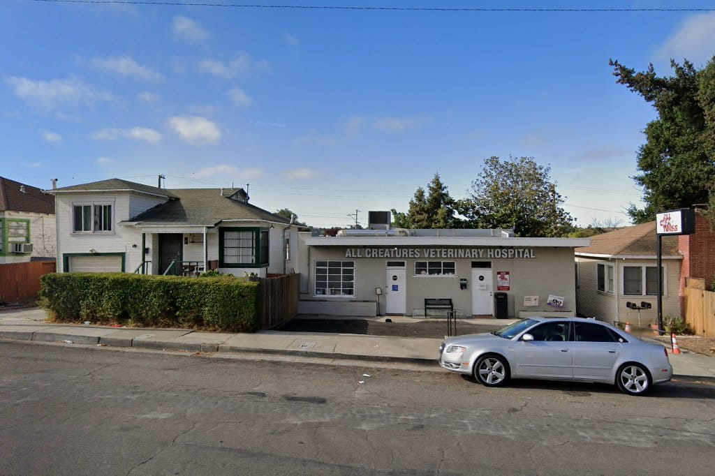 All Creatures Veterinary Hospital