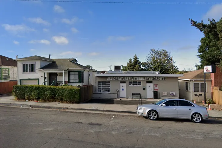 All Creatures Veterinary Hospital