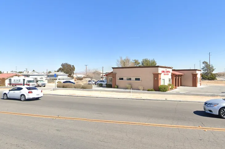 Ark Animal Hospital