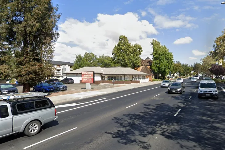 Apollo Veterinary Hospital
