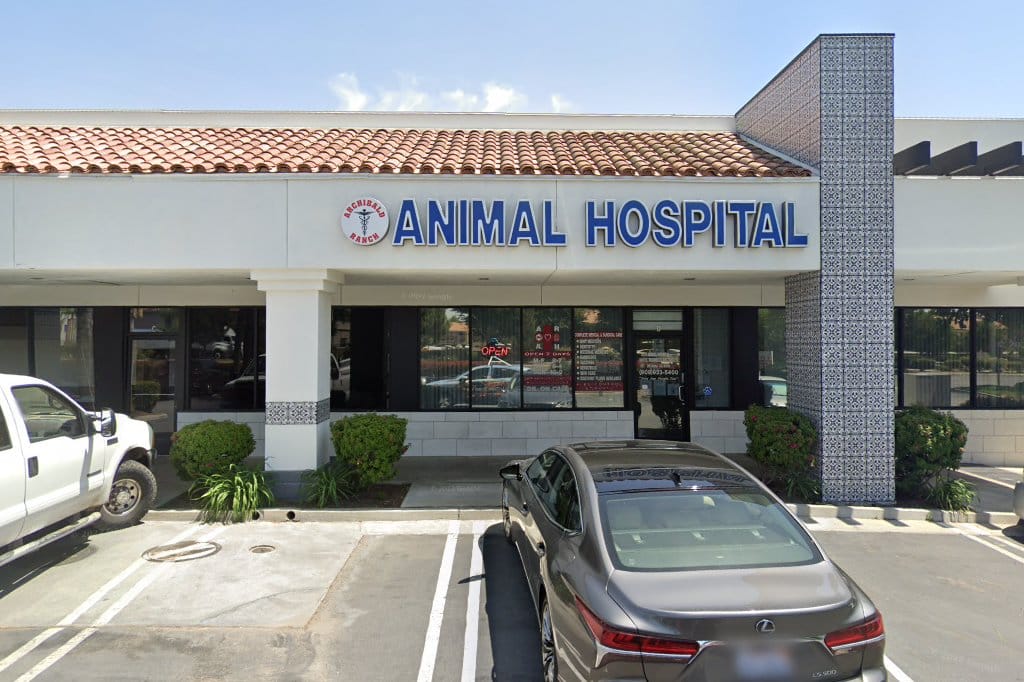 Animal Hospital in San Bernardino County, CA - The County Office