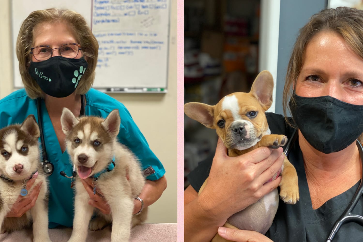 Animal Hospital of Thousand Oaks