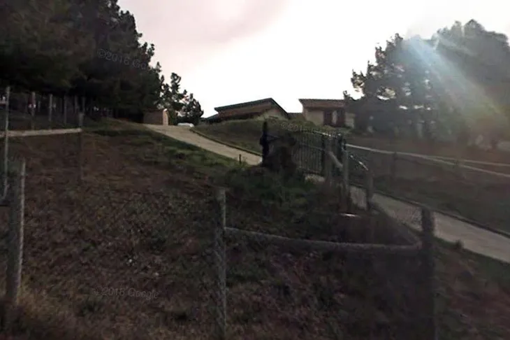 Cats On Corral Animal Hospital