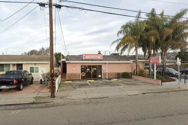 Bay Cities Animal Hospital