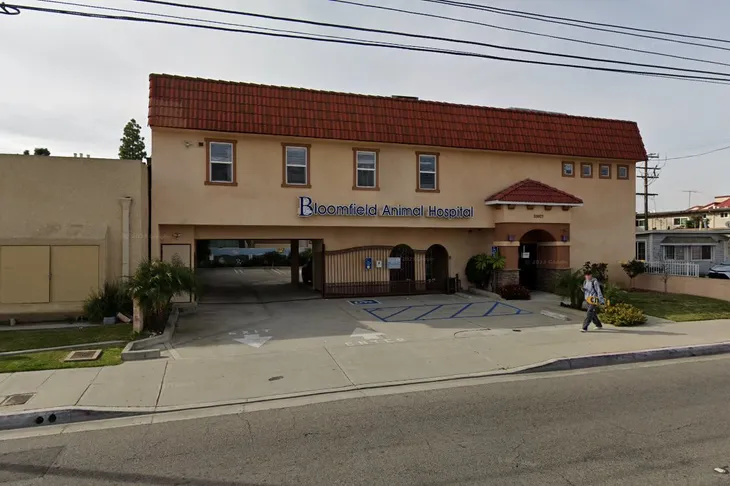 Bloomfield Animal Hospital