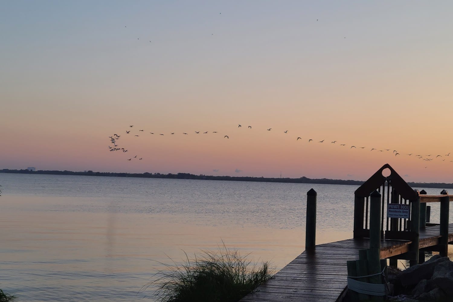 Animal Shelters in Cocoa, FL Find Paw Pal