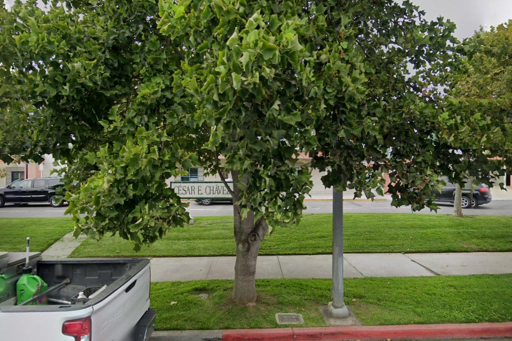 Cesar E. Chavez Elementary School
