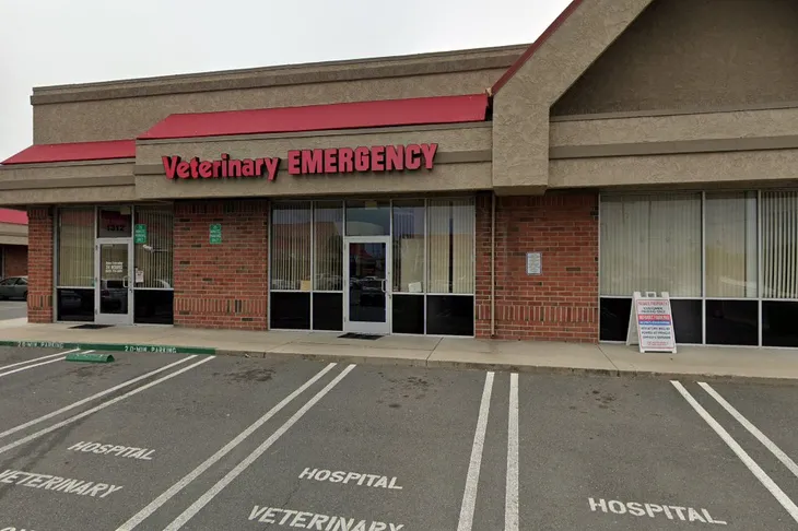 East Bay Veterinary Emergency