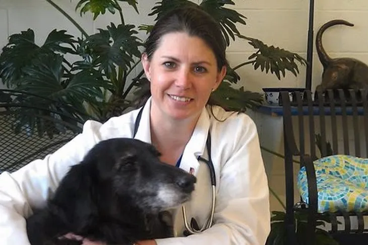 Mountain View Veterinary Hospital