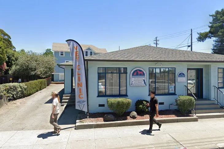 Ocean Animal Clinic