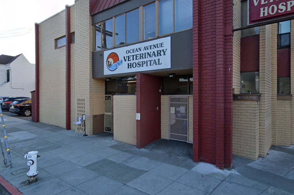 Ocean Ave Veterinary Hospital