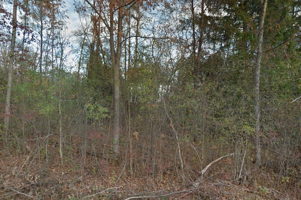 Oak Trails Montessori School