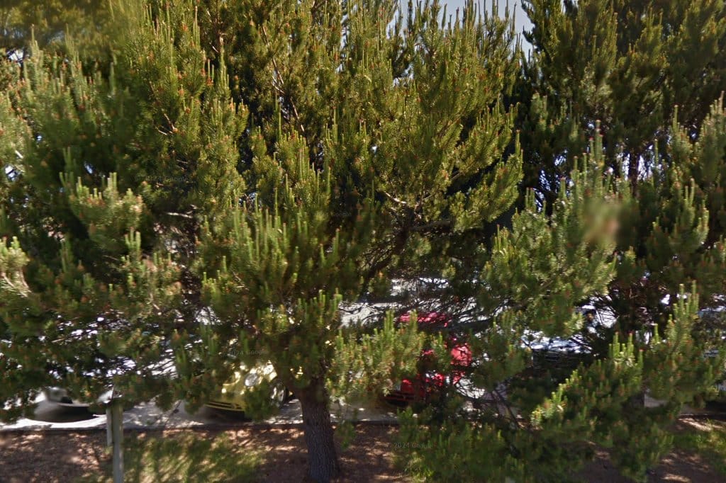 Pine Grove Elementary School