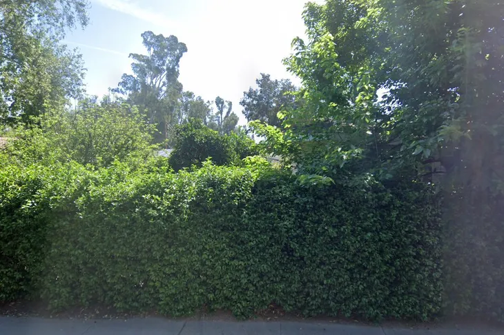 Ojai Pet Hospital