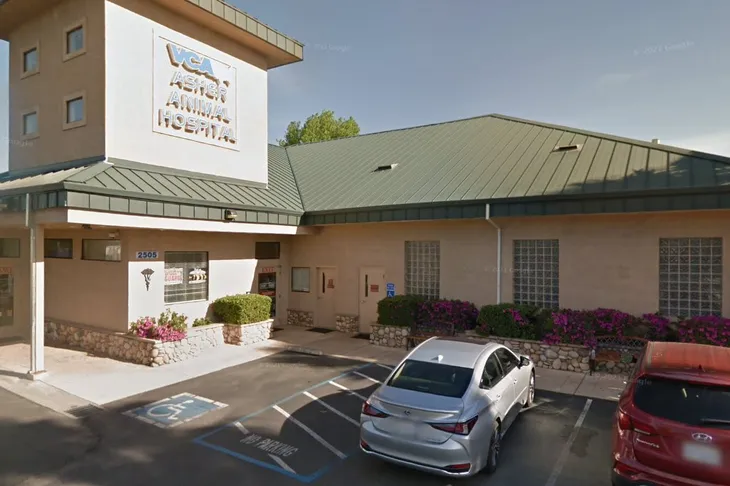VCA Asher Animal Hospital