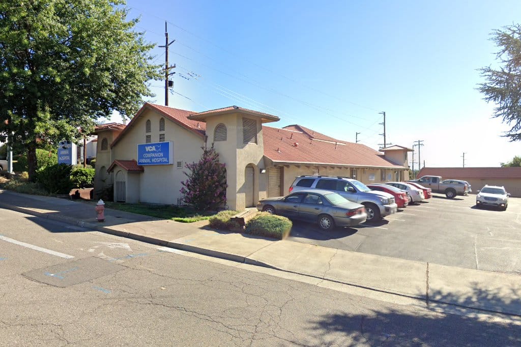 VCA Companion Animal Hospital