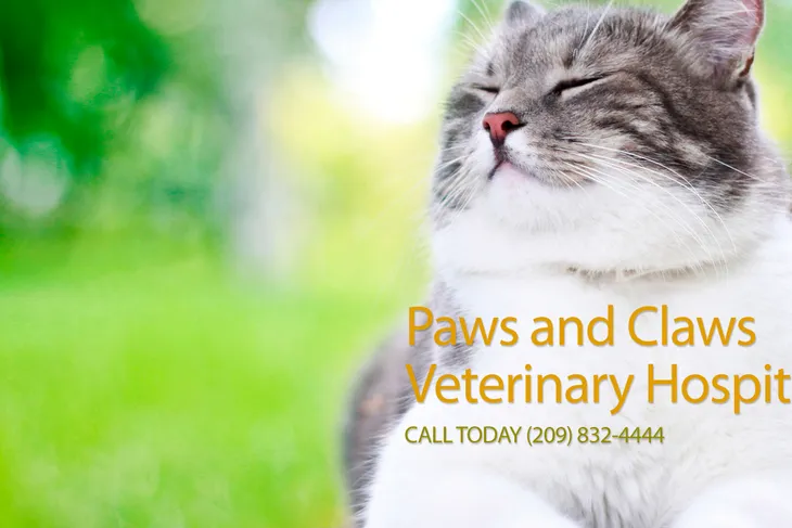 Paws & Claws Veterinary Hospital