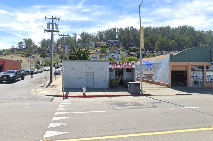 Hillview Pet Hospital
