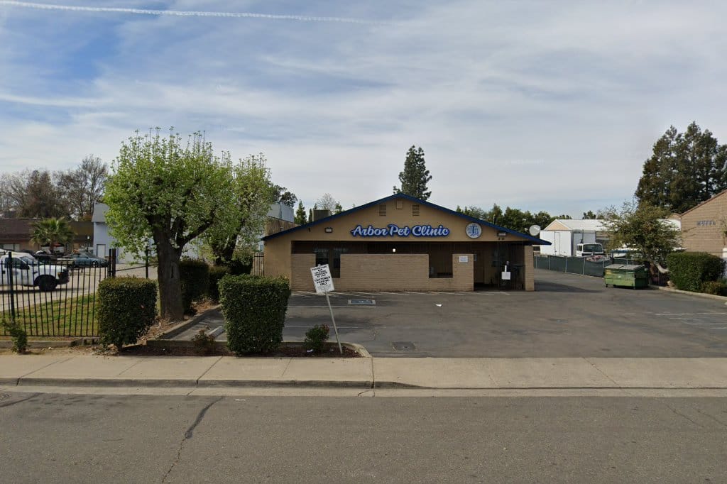 Arbor Pet Clinic