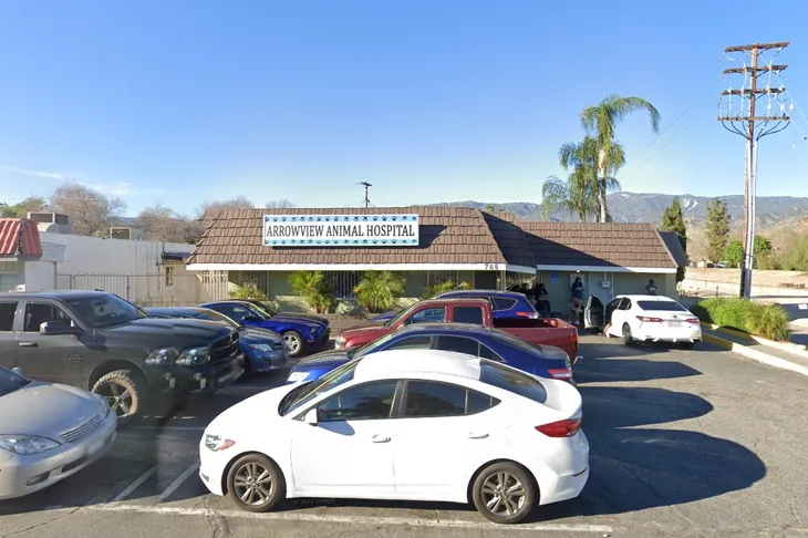 Arrowview Animal Clinic