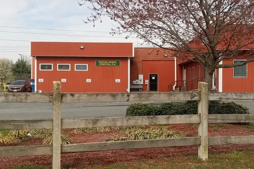 Denton Animal Hospital
