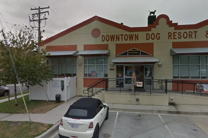 Swan Harbor Animal Hospital