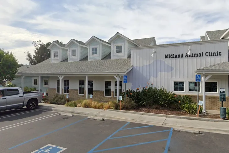 Midland Animal Clinic