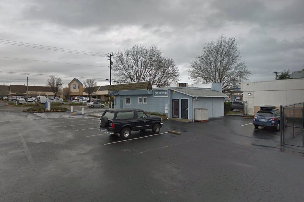 Sacramento Cat Hospital