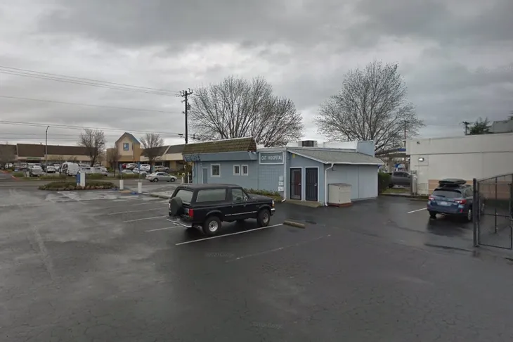 Sacramento Cat Hospital