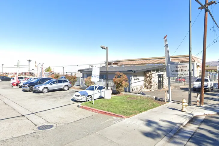 Animal Hospital of San Jose