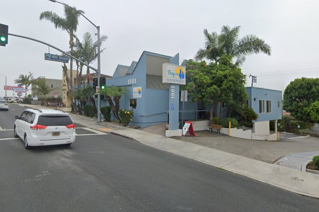 Bay Animal Hospital
