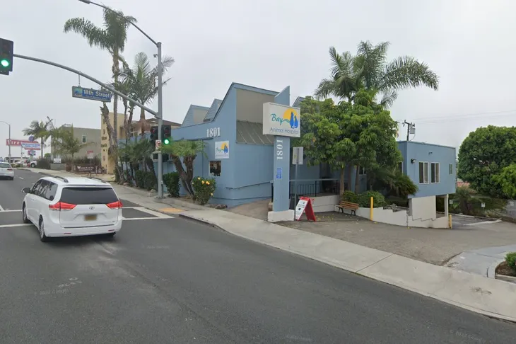 Bay Animal Hospital