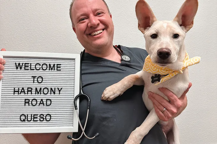 Harmony Hospital for Pets