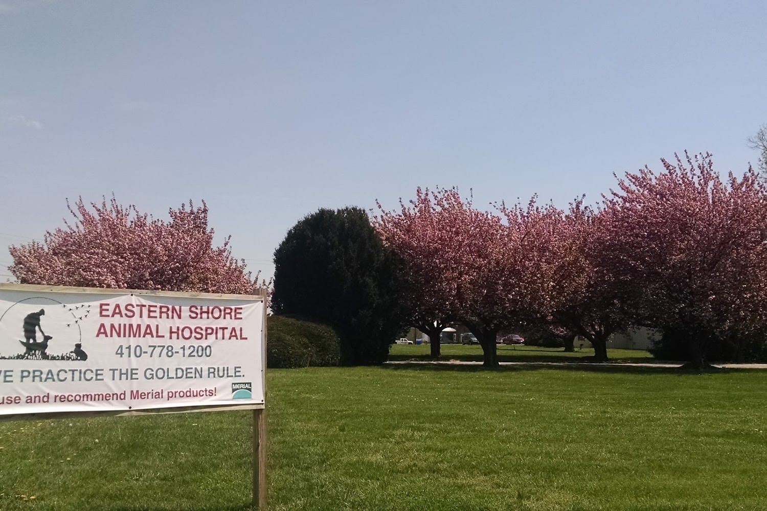 Eastern Shore Animal Hospital