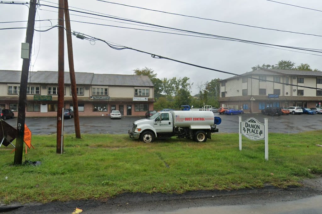 The Cat Hospital