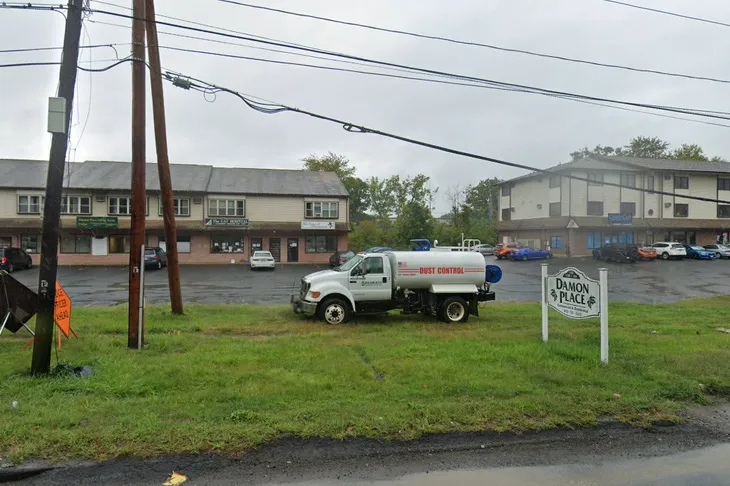 The Cat Hospital