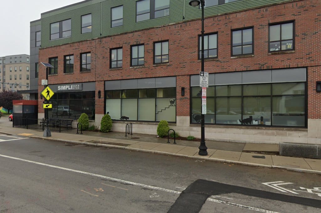 Boston Cat Hospital