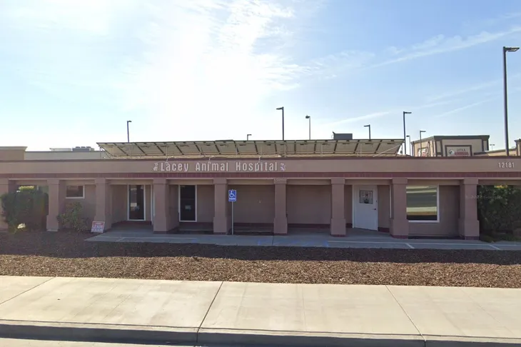 Lacey Animal Hospital